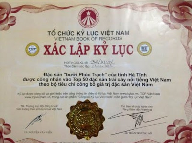 Bưởi Ph&uacute;c Trạch vẫn giữ vững danh tiếng của một trong 50 loại quả đặc biệt, nổi tiếng nhất Việt Nam
