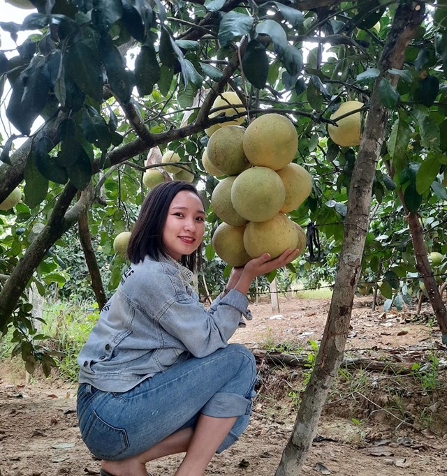 100% diện t&iacute;ch được cấp m&atilde; số v&ugrave;ng trồng, c&oacute; hệ thống truy xuất nguồn gốc.