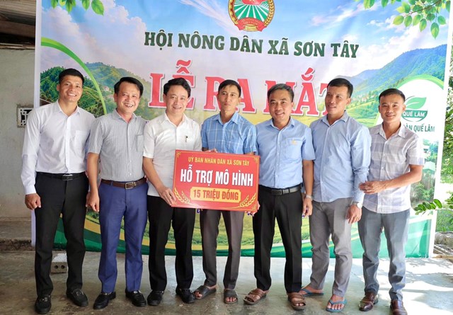 UBND x&atilde; Sơn T&acirc;y đ&atilde; hỗ trợ m&ocirc; h&igrave;nh nu&ocirc;i lợn hữu cơ số tiền 15 triệu đồng