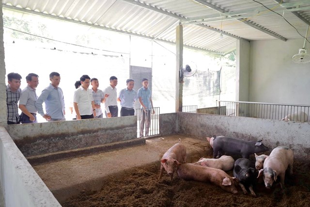 M&ocirc; h&igrave;nh chăn nu&ocirc;i lợn hữu cơ của anh Nguyễn Trọng T&iacute;nh, th&ocirc;n Phố T&acirc;y