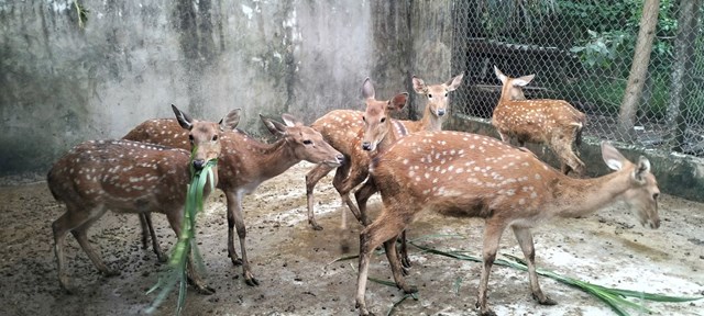 H&agrave; Tĩnh d&agrave;nh hơn 9,8 tỷ đồng hỗ trợ sinh kế cho người d&acirc;n kh&oacute; khăn