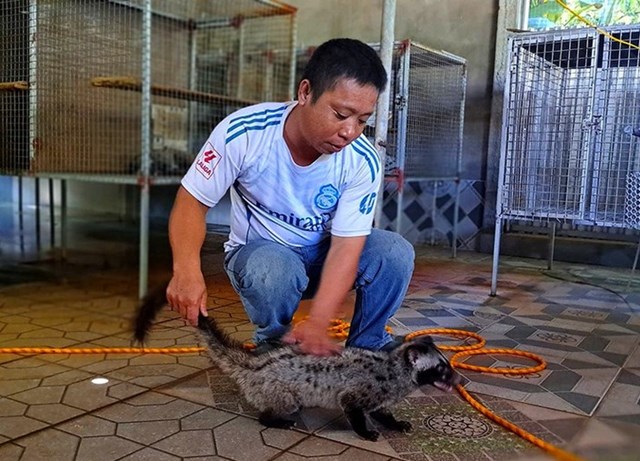 M&ocirc; h&igrave;nh nu&ocirc;i chồn hương đang được nh&acirc;n rộng