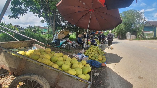 Chợ bưởi Hương Kh&ecirc;- Đ&acirc;y được xem l&agrave; n&eacute;t văn h&oacute;a đặc sắc&nbsp;