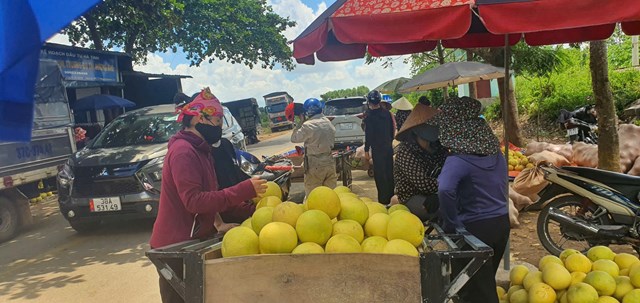 Bười được xếp đầy tr&ecirc;n c&aacute;c xe k&eacute;o để kh&aacute;ch h&agrave;ng dễ d&agrave;ng lựa chọn