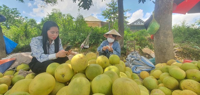 Đến đ&acirc;y kh&aacute;ch h&agrave;ng kh&ocirc;ng chỉ mua m&agrave; c&ograve;n được thưởng thức những m&uacute;i bưởi thơm, ngon, chỉ c&oacute; ở bưởi Ph&uacute;c Trạch
