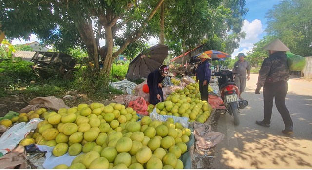 Khắp khu vực vang l&ecirc;n tiếng người mua, kẻ b&aacute;n c&ugrave;ng tiếng xe tải, xe k&eacute;o tấp nập ra v&agrave;o, tạo n&ecirc;n khung cảnh nhộn nhịp v&agrave; r&ocirc;m rả