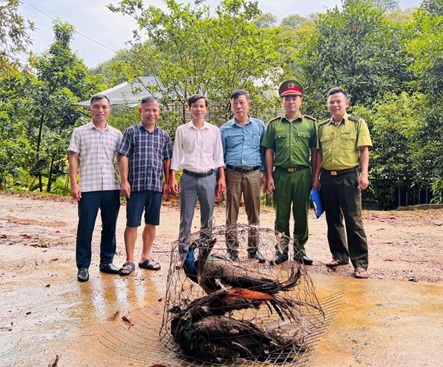 Người d&acirc;n trao trả c&ocirc;ng về Vườn QG Vũ Quang
