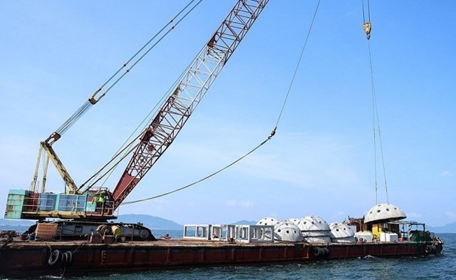 Dựng &ldquo;ng&ocirc;i nh&agrave;&rdquo; dưới biển, t&aacute;i tạo nguồn lợi thủy sản H&agrave; Tĩnh