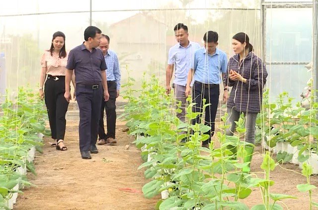 Ph&aacute;t triển chuỗi li&ecirc;n kết rau, quả an to&agrave;n l&agrave; hướng đi bền vững cho n&ocirc;ng nghiệp tỉnh Thanh H&oacute;a