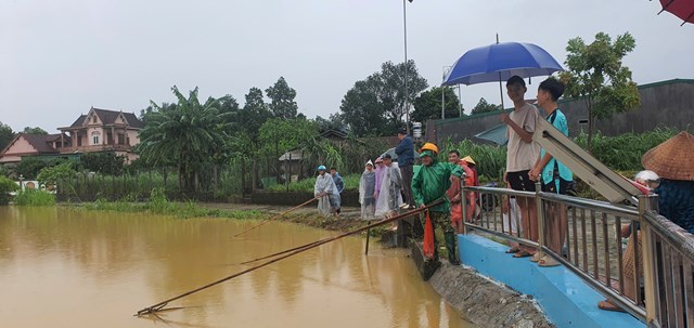Nước d&acirc;ng cao, người d&acirc;n k&eacute;o nhau ra những con đập, s&ocirc;ng lớn thả lưới bắt c&aacute;.