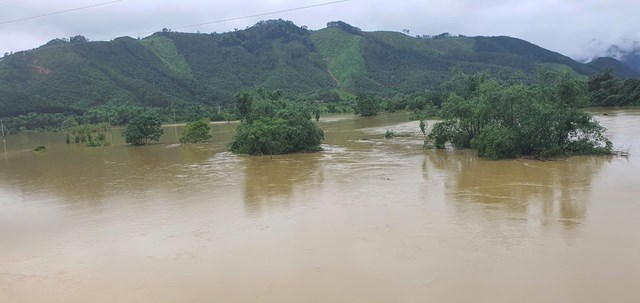 B&atilde;o số 10 đ&atilde; g&acirc;y thiệt hại lớn gần 4.800 ng&ocirc;i nh&agrave; bị tốc m&aacute;i, h&agrave;ng chục cột điện bị đổ ng&atilde;,&nbsp;nhiều tuyến đường bị sạt lở, &aacute;ch tắc giao th&ocirc;ng tại hơn 100 điểm. H&agrave;ng ng&agrave;n ha hoa m&agrave;u bị nhấn ch&igrave;m.