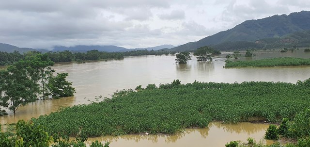 Một diện t&iacute;ch lớn sắn của người d&acirc;n x&atilde; Sơn T&acirc;y cũng bị nhấn ch&igrave;m trong biển nước.
