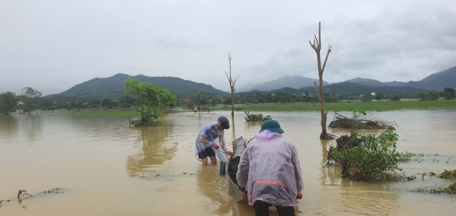 Những kh&uacute;c gỗ lớn tr&ocirc;i dạt v&agrave;o c&aacute;nh đồng ch&egrave; được d&acirc;n trục vớt v&agrave; đưa l&ecirc;n bờ