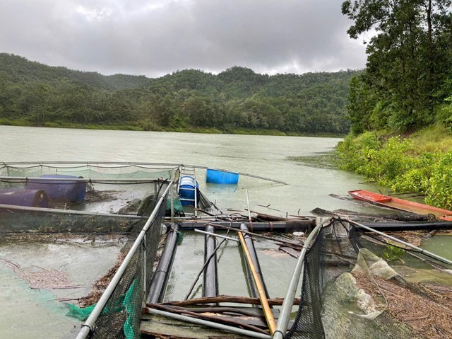 Những người d&acirc;n nu&ocirc;i c&aacute; lồng b&egrave; ở đập Ng&agrave;n Trươi bị b&atilde;o đ&aacute;nh tan t&agrave;nh, to&agrave;n bộ c&aacute; bị cuốn tr&ocirc;i theo d&ograve;ng nước
