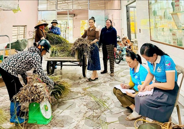 Sả người d&acirc;n trồng được bao ti&ecirc;u kh&ocirc;ng phải lo đầu ra