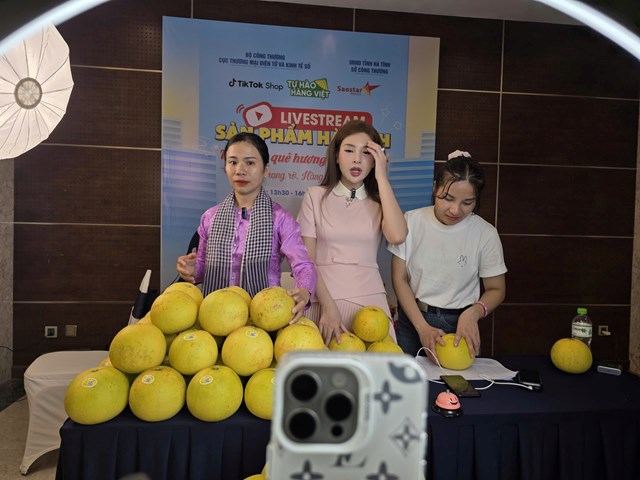 C&aacute;c học vi&ecirc;n được&nbsp;c&aacute;c chuy&ecirc;n gia từ TikTok Việt Nam giới thiệu tổng quan về livestream trong thương mại điện tử