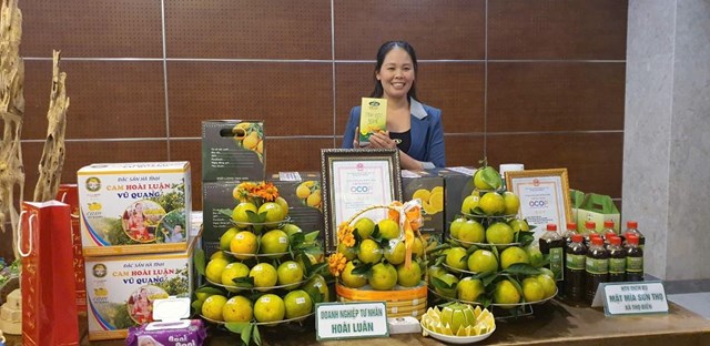 Hội chợ Công thương vùng Bắc Trung Bộ – Hà Tĩnh 2025 sắp được diễn ra