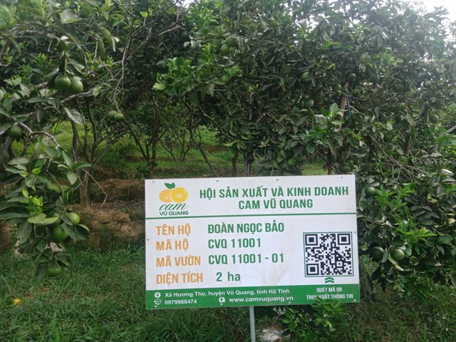 Cam được truy xuất nguồn gốc r&otilde; r&agrave;ng