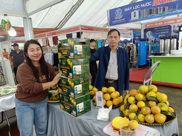 H&#224; Tĩnh: Cam trĩu quả, gi&#225; cao – n&#244;ng d&#226;n vui như mở hội - Ảnh 1