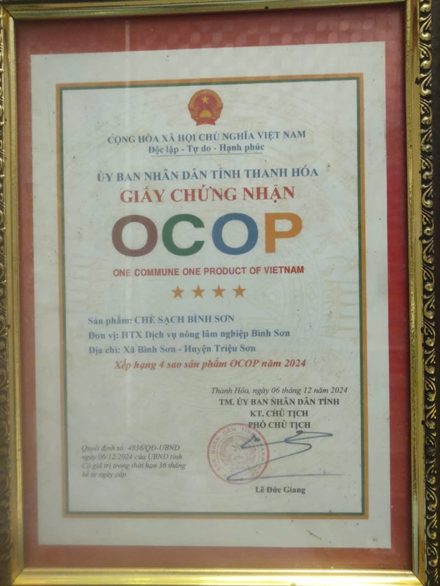 Ch&egrave; sạch B&igrave;nh Sơn được tỉnh Thanh H&oacute;a chứng nhận OCOP 4 sao