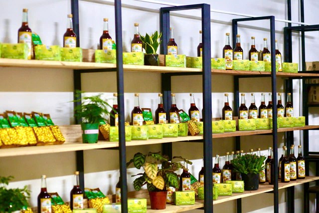 C&aacute;c sản phẩm HTX&nbsp;Dịch vụ N&ocirc;ng l&acirc;m nghiệp B&igrave;nh Sơn