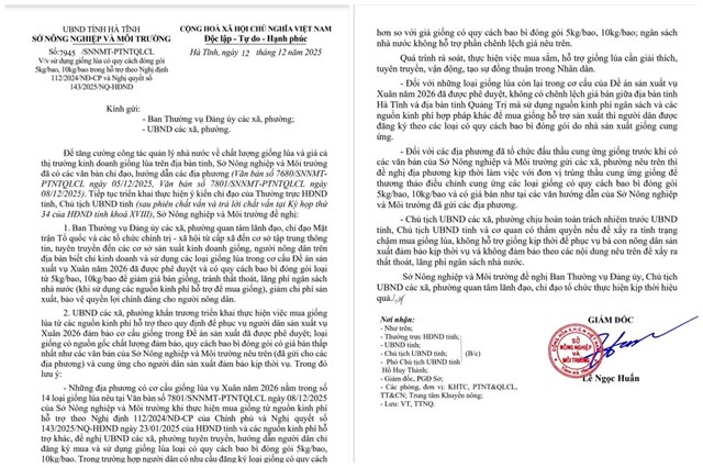 Tăng cường quản l&yacute; chất lượng v&agrave; c&aacute;ch đ&oacute;ng g&oacute;i giống l&uacute;a Xu&acirc;n 2026