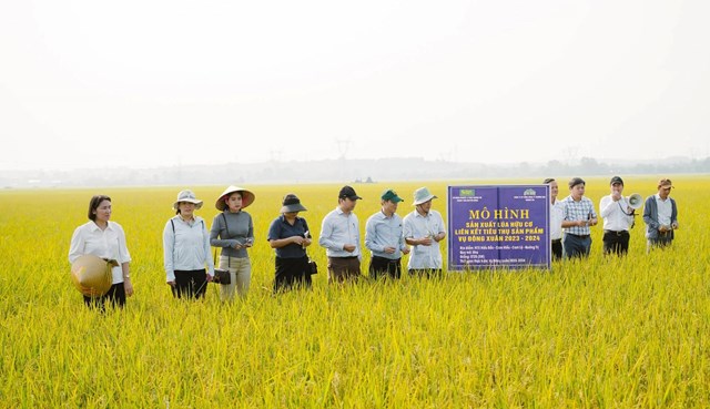 Sinh kế n&ocirc;ng nghiệp th&iacute;ch ứng biến đổi kh&iacute; hậu, cơ hội cho phụ nữ v&ugrave;ng cao Quảng Trị