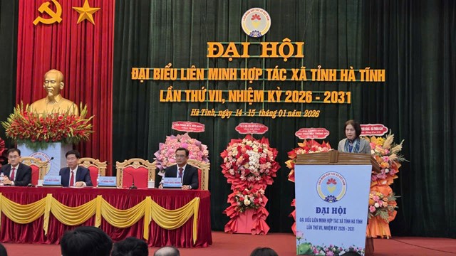 Ph&oacute; Chủ tịch Li&ecirc;n minh Hợp t&aacute;c x&atilde; Việt Nam Nguyễn Thị Ho&agrave;i Linh đ&aacute;nh gi&aacute; cao những kết quả Li&ecirc;n Minh HTX H&agrave; Tĩnh đạt được.