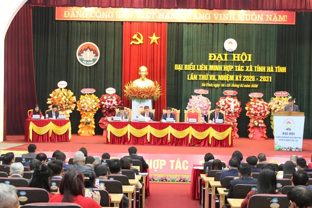 Ph&aacute;t triển kinh tế tập thể ở H&agrave; Tĩnh cầu chuyển từ c&aacute;ch tiếp cận &ldquo;hỗ trợ sinh tồn&rdquo; sang &ldquo;kiến tạo ph&aacute;t triển&rdquo;.