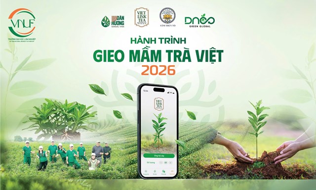 Gieo mầm Trà Việt 2026: “Chạm đất” để chạm tới tương lai xanh - Ảnh 1