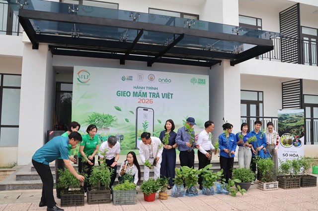 Gieo mầm Trà Việt 2026: “Chạm đất” để chạm tới tương lai xanh - Ảnh 3