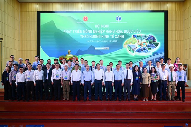 Hiệp hội Chè Việt Nam đồng hành cùng Lai Châu: Nâng tầm giá trị chè Shan tuyết cổ thụ, mở rộng thị trường bền vững - Ảnh 1