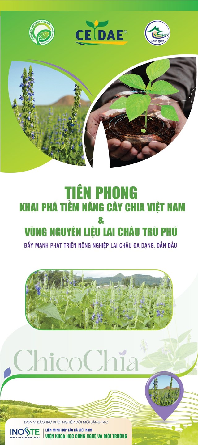 Huyện Than Uy&#234;n (tỉnh Lai Ch&#226;u): Lễ k&#253; kết Hợp t&#225;c chiến lược ph&#225;t triển c&#226;y Chia - Ảnh 3