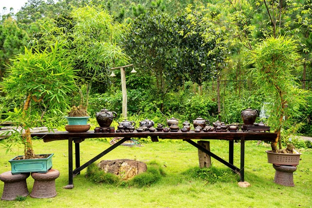 Kh&ocirc;ng gian văn h&oacute;a Tr&agrave; Việt đậm bản sắc tại sự kiện ch&agrave;o mừng Ng&agrave;y Ch&egrave; Thế giới 21/5/2026 tại Hamatra Đại Lải Retreat.