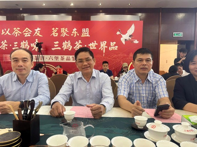 Doanh nghiệp chè Việt tăng tốc kết nối quốc tế tại Ngày Chè thế giới 2026 ở Nam Ninh, Quảng Tây - Ảnh 2