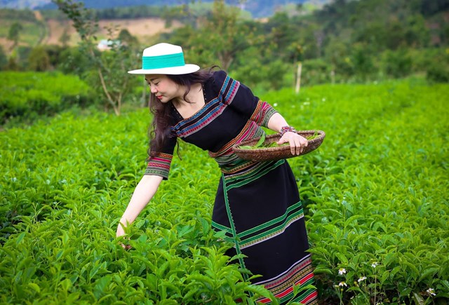 Hợp t&#225;c x&#227; Ch&#232; sạch Đ&#244;ng Trường Sơn: H&#224;nh tr&#236;nh xanh v&#236; sức khỏe v&#224; m&#244;i trường - Ảnh 29