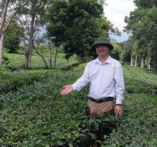 &Ocirc;ng Nguyễn Th&aacute;i H&agrave; &ndash; Chủ tịch HĐQT C&ocirc;ng ty Cổ phần Đầu tư v&agrave; T&agrave;i ch&iacute;nh T&acirc;y Hồ