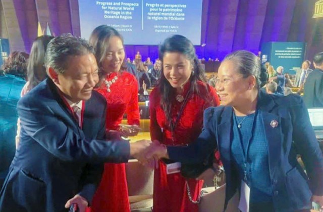 Thứ Trưởng Bộ Văn h&oacute;a, Thể thao v&agrave; Du lịch Ho&agrave;ng Đạo Cương v&agrave; c&aacute;c đại biểu tại Kỳ họp lần thứ 47 của Ủy ban Di sản thế giới tại Ph&aacute;p