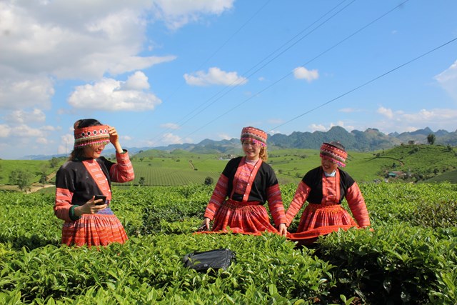 Lễ Hội tr&agrave; cao nguy&ecirc;n Mộc Ch&acirc;u l&agrave; dịp t&ocirc;n vinh những người trồng ch&egrave; v&agrave; giới thiệu, quảng b&aacute; sản phẩm ch&egrave; Shan tuyết Mộc Ch&acirc;u. Ảnh: Phi Long