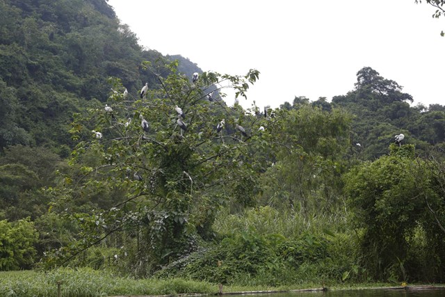 Về miền di sản Tr&#224;ng An – Cố đ&#244; Hoa Lư: Gắn kết nội lực, lan tỏa gi&#225; trị văn h&#243;a v&#224; tinh thần  - Ảnh 21