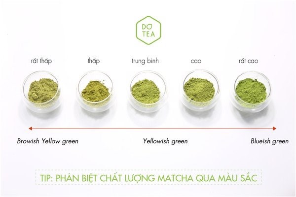 Bảng hệ m&agrave;u sắc matcha - Theo Dotea