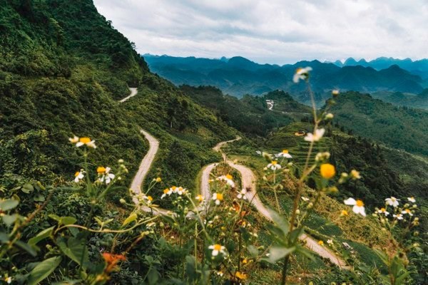 Một t&aacute;ch tr&agrave; thấm đẫm hương vị n&uacute;i rừng T&acirc;y Bắc c&oacute; đắng ch&aacute;t, c&oacute; dịu ngọt, v&agrave; rồi quyến luyến chẳng thể n&agrave;o rời xa.