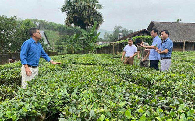 Gi&aacute;m đốc Đỗ Văn Lừng (b&ecirc;n tr&aacute;i) giới thiệu về Nh&agrave; m&aacute;y chế biến gắn với v&ugrave;ng nguy&ecirc;n liệu của HTX