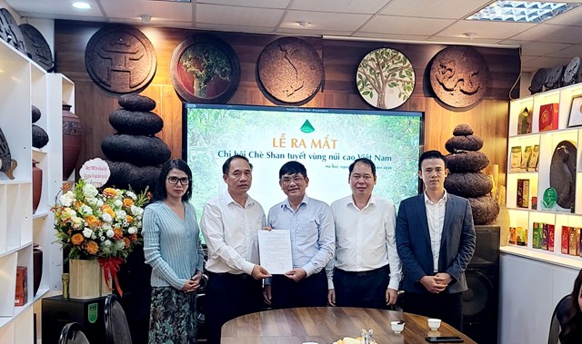 Ban Chấp h&agrave;nh l&acirc;m thời Chi hội Ch&egrave; Shan Tuyết v&ugrave;ng n&uacute;i cao Việt Nam ra mắt, thể hiện quyết t&acirc;m tăng cường li&ecirc;n kết v&agrave; n&acirc;ng cao gi&aacute; trị ch&egrave; Shan tuyết.