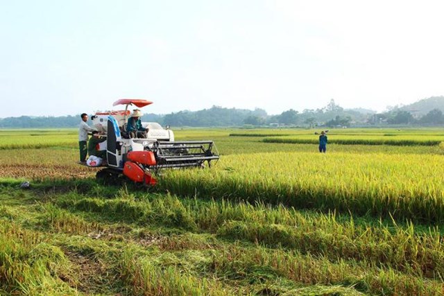 Cơ giới h&oacute;a trong sản xuất n&ocirc;ng nghiệp&nbsp;