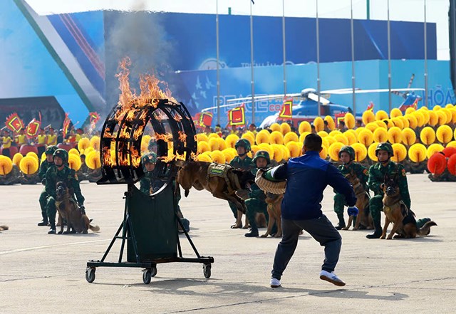 Triển l&#227;m Quốc ph&#242;ng quốc tế Việt Nam 2024: Khẳng định vai tr&#242;, tăng cường hợp t&#225;c v&#236; h&#242;a b&#236;nh - Ảnh 6