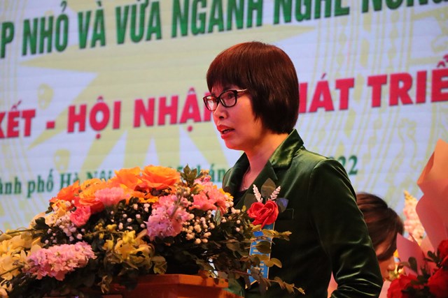 Đồng ch&iacute; Nguyễn Thị Tuyết Mai - Vụ tổ chức phi ch&iacute;nh phủ Bộ Nội vụ ph&aacute;t biểu chỉ đạo hội nghị.