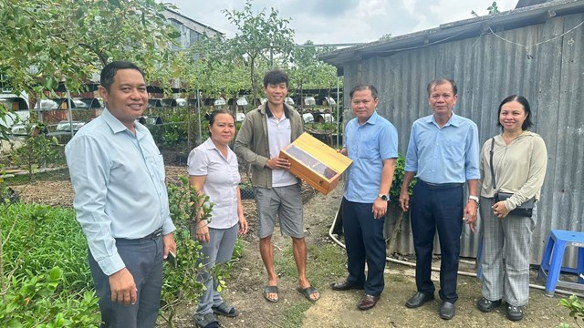 M&ocirc; h&igrave;nh nu&ocirc;i ong D&uacute; của anh Mai Th&agrave;nh Ph&aacute;t đ&atilde; tạo&nbsp;th&ecirc;m nguồn thu nhập cho gia đ&igrave;nh, mở ra khả năng h&igrave;nh th&agrave;nh một hướng sản xuất mới