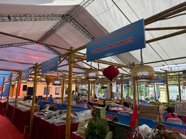 Li&#234;n minh HTX H&#224; Nội bứt ph&#225;, khuấy động thị trường với chuỗi sự kiện x&#250;c tiến thương mại th&#225;ng 10/2025 - Ảnh 5