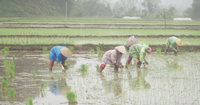 N&ocirc;ng d&acirc;n t&iacute;ch cực tham gia v&agrave;o hoạt động sản xuất, đảm bảo kế hoạch vụ chi&ecirc;m xu&acirc;n năm 2022 tr&ecirc;n địa b&agrave;n tỉnh H&ograve;a B&igrave;nh